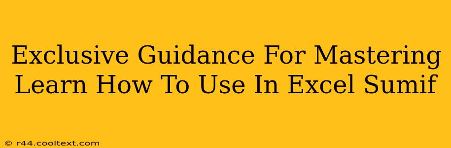 Exclusive Guidance For Mastering Learn How To Use In Excel Sumif