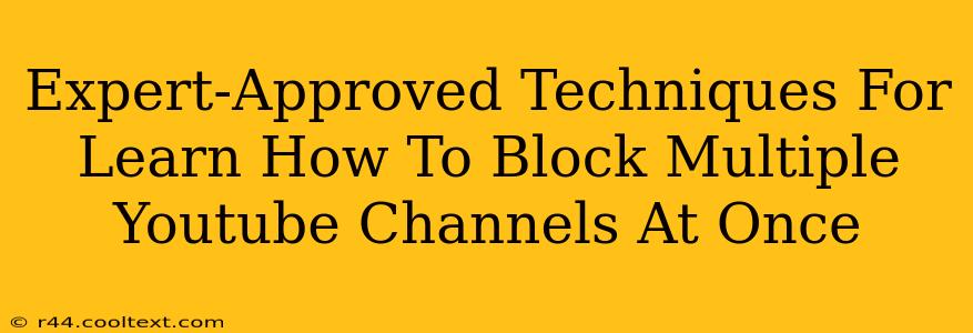 Expert-Approved Techniques For Learn How To Block Multiple Youtube Channels At Once