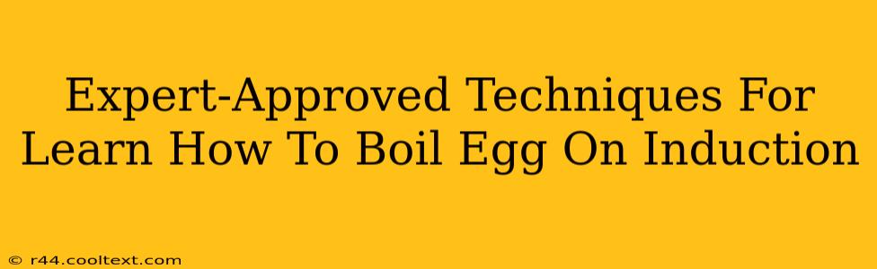 Expert-Approved Techniques For Learn How To Boil Egg On Induction