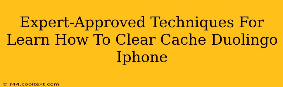 Expert-Approved Techniques For Learn How To Clear Cache Duolingo Iphone