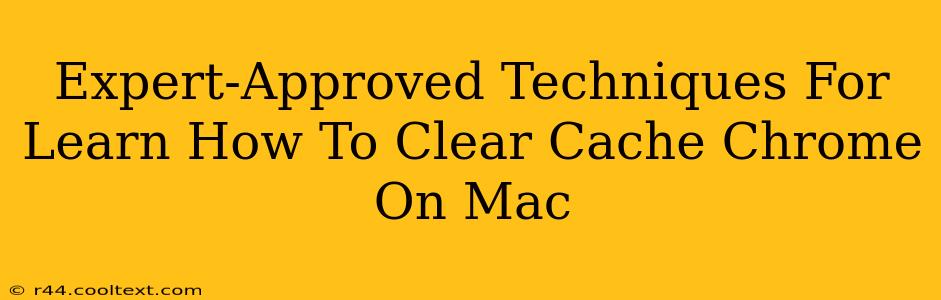 Expert-Approved Techniques For Learn How To Clear Cache Chrome On Mac