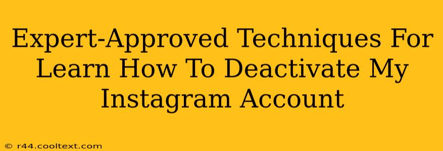 Expert-Approved Techniques For Learn How To Deactivate My Instagram Account