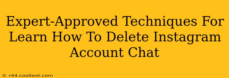 Expert-Approved Techniques For Learn How To Delete Instagram Account Chat