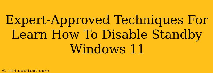 Expert-Approved Techniques For Learn How To Disable Standby Windows 11