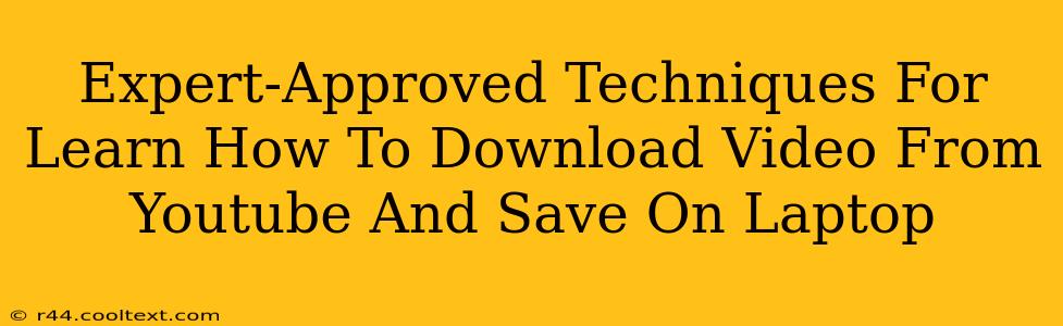 Expert-Approved Techniques For Learn How To Download Video From Youtube And Save On Laptop