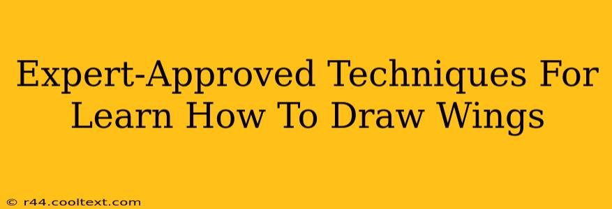 Expert-Approved Techniques For Learn How To Draw Wings