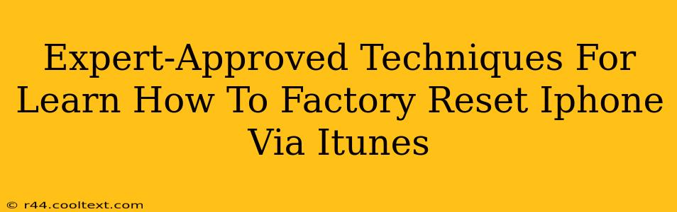 Expert-Approved Techniques For Learn How To Factory Reset Iphone Via Itunes