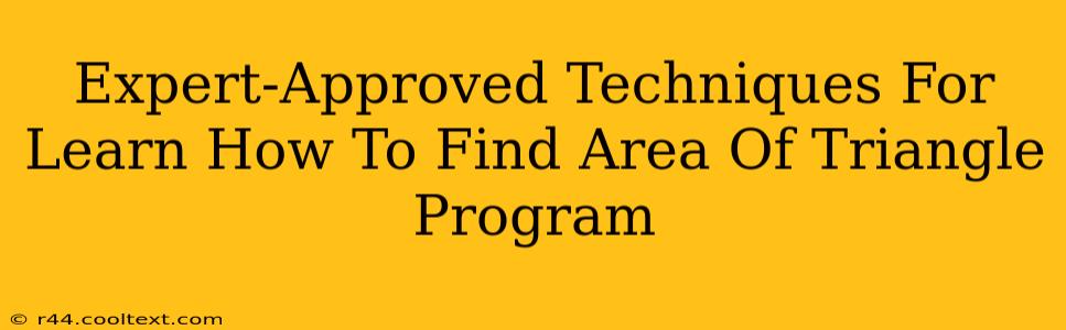 Expert-Approved Techniques For Learn How To Find Area Of Triangle Program