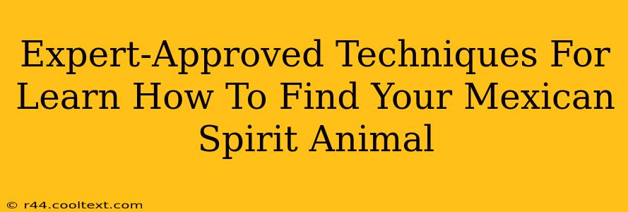 Expert-Approved Techniques For Learn How To Find Your Mexican Spirit Animal