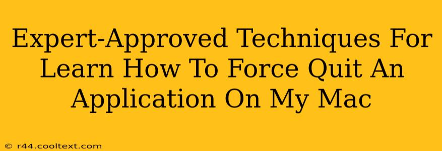 Expert-Approved Techniques For Learn How To Force Quit An Application On My Mac