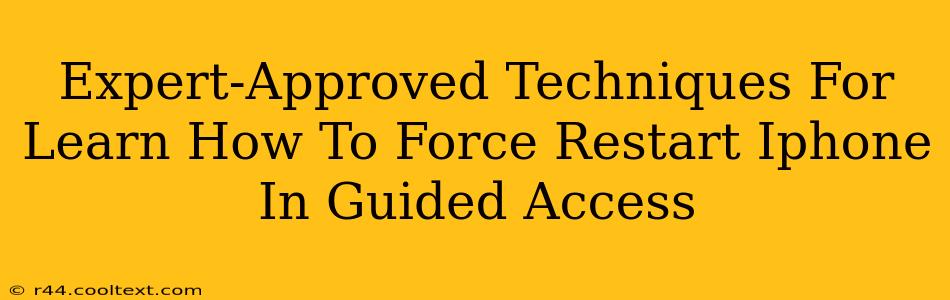 Expert-Approved Techniques For Learn How To Force Restart Iphone In Guided Access