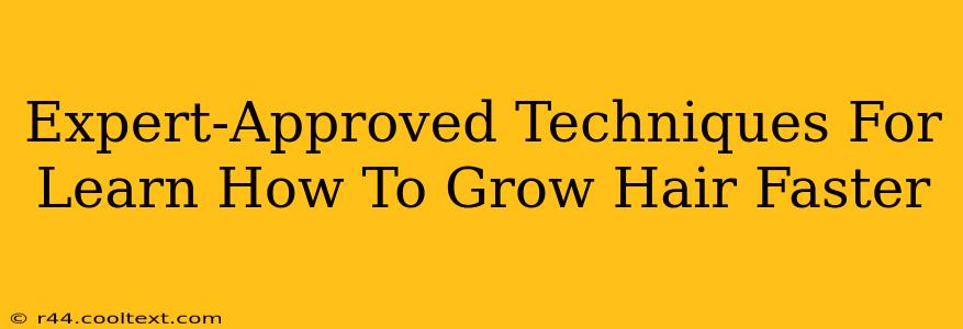 Expert-Approved Techniques For Learn How To Grow Hair Faster