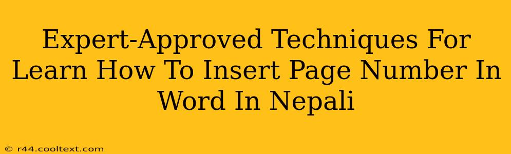 Expert-Approved Techniques For Learn How To Insert Page Number In Word In Nepali