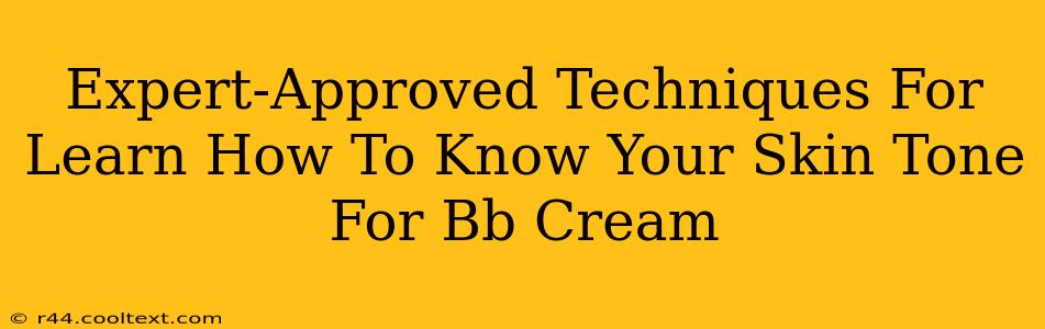 Expert-Approved Techniques For Learn How To Know Your Skin Tone For Bb Cream