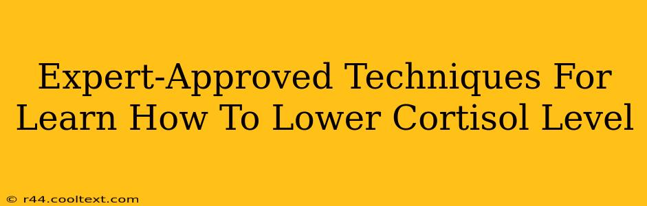 Expert-Approved Techniques For Learn How To Lower Cortisol Level