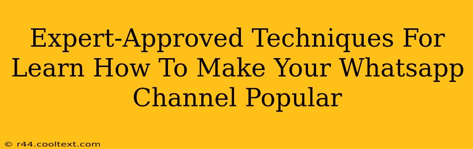 Expert-Approved Techniques For Learn How To Make Your Whatsapp Channel Popular