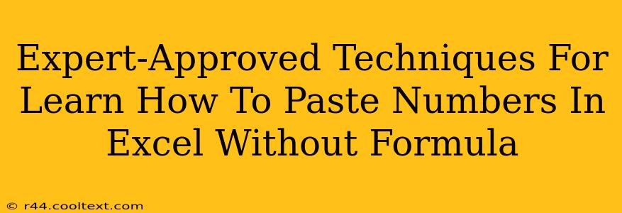 Expert-Approved Techniques For Learn How To Paste Numbers In Excel Without Formula