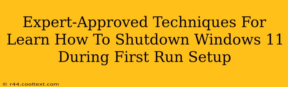 Expert-Approved Techniques For Learn How To Shutdown Windows 11 During First Run Setup