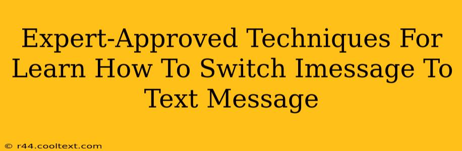 Expert-Approved Techniques For Learn How To Switch Imessage To Text Message