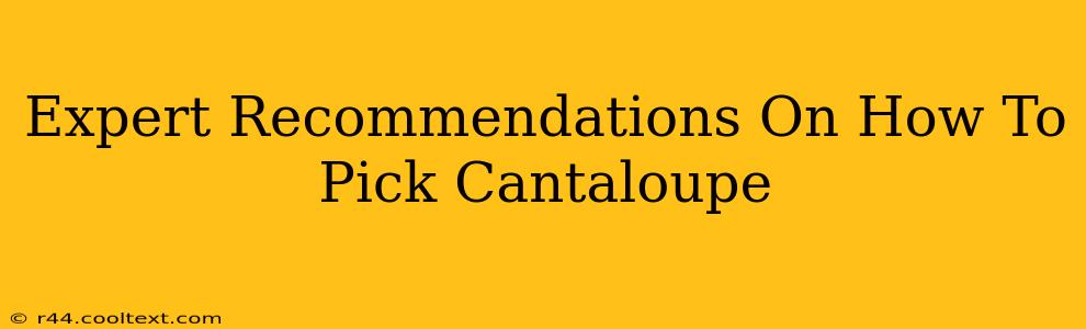 Expert Recommendations On How To Pick Cantaloupe