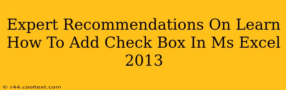 Expert Recommendations On Learn How To Add Check Box In Ms Excel 2013