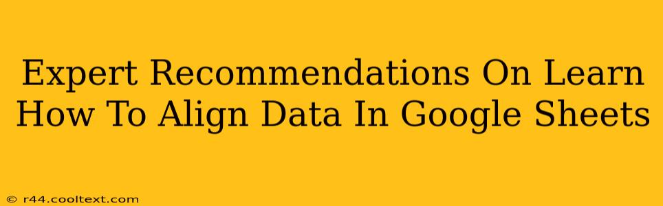 Expert Recommendations On Learn How To Align Data In Google Sheets