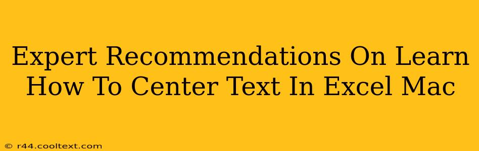 Expert Recommendations On Learn How To Center Text In Excel Mac