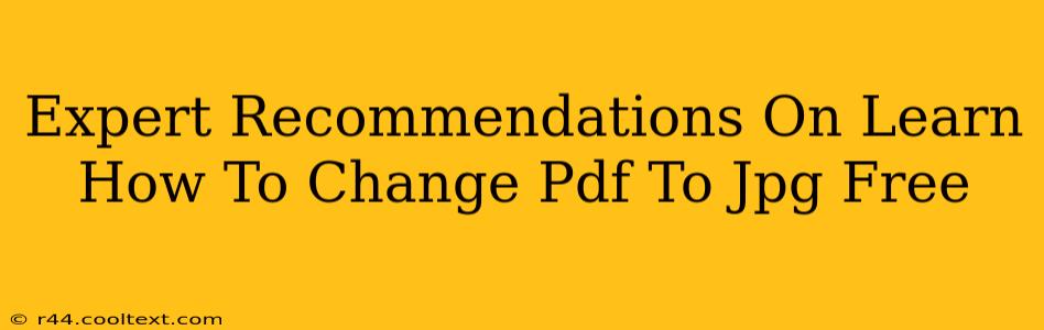 Expert Recommendations On Learn How To Change Pdf To Jpg Free