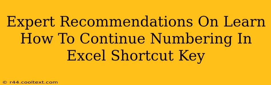 Expert Recommendations On Learn How To Continue Numbering In Excel Shortcut Key