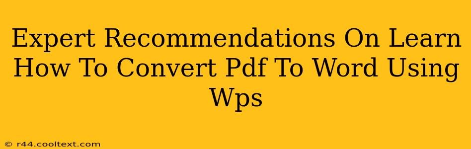 Expert Recommendations On Learn How To Convert Pdf To Word Using Wps