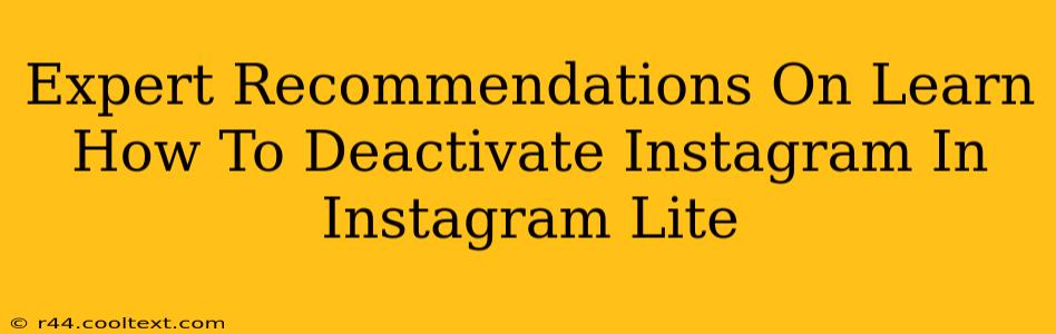 Expert Recommendations On Learn How To Deactivate Instagram In Instagram Lite