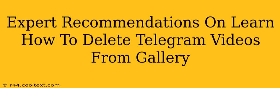 Expert Recommendations On Learn How To Delete Telegram Videos From Gallery