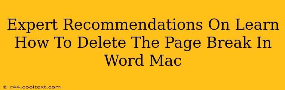 Expert Recommendations On Learn How To Delete The Page Break In Word Mac