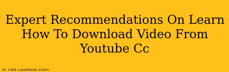 Expert Recommendations On Learn How To Download Video From Youtube Cc