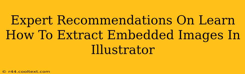 Expert Recommendations On Learn How To Extract Embedded Images In Illustrator