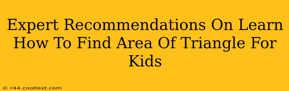 Expert Recommendations On Learn How To Find Area Of Triangle For Kids