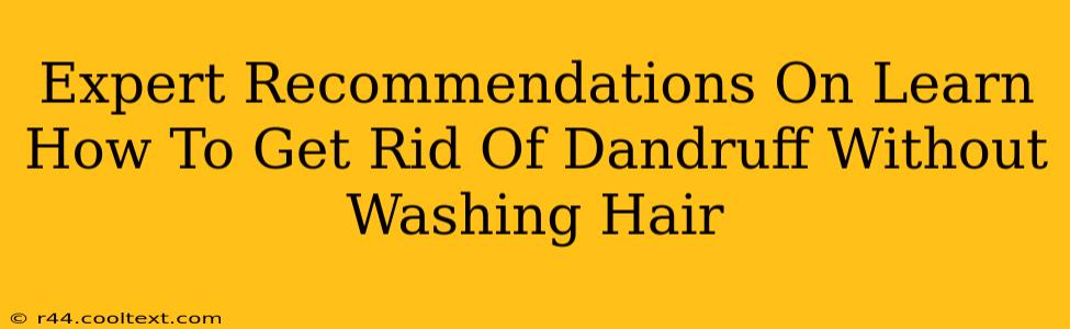 Expert Recommendations On Learn How To Get Rid Of Dandruff Without Washing Hair