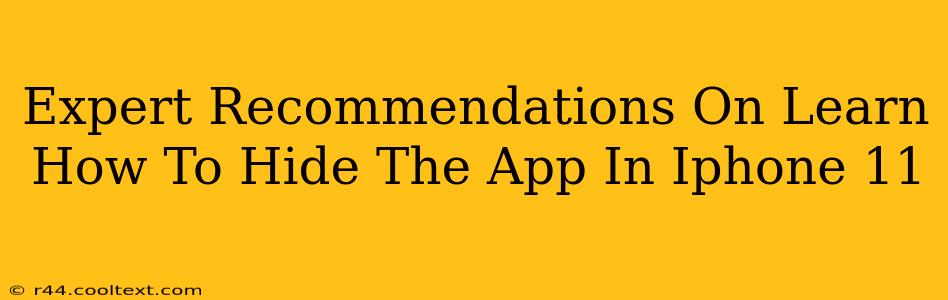 Expert Recommendations On Learn How To Hide The App In Iphone 11