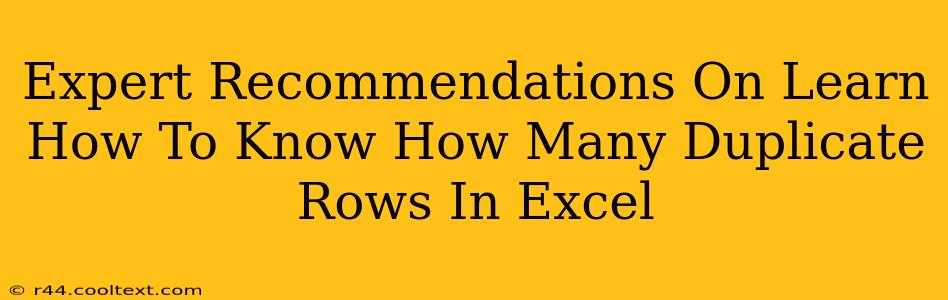 Expert Recommendations On Learn How To Know How Many Duplicate Rows In Excel