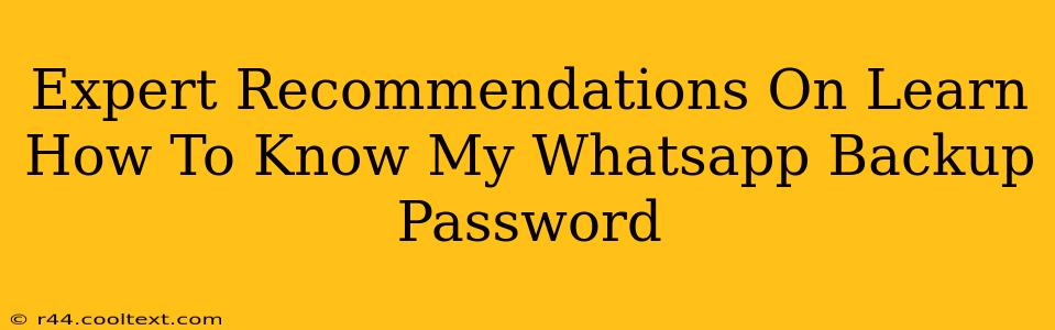 Expert Recommendations On Learn How To Know My Whatsapp Backup Password