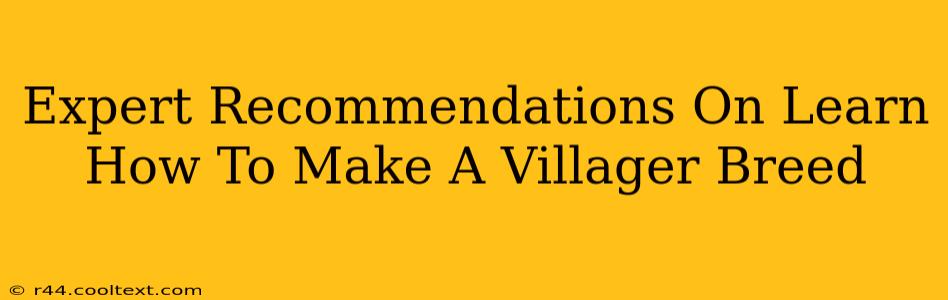 Expert Recommendations On Learn How To Make A Villager Breed