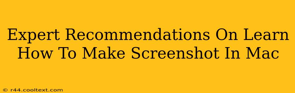 Expert Recommendations On Learn How To Make Screenshot In Mac