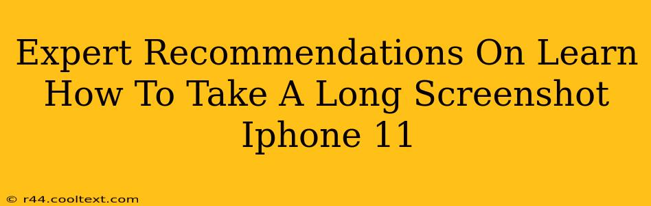 Expert Recommendations On Learn How To Take A Long Screenshot Iphone 11