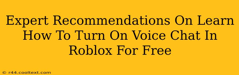 Expert Recommendations On Learn How To Turn On Voice Chat In Roblox For Free