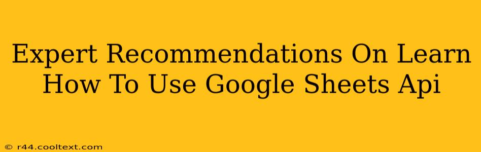 Expert Recommendations On Learn How To Use Google Sheets Api