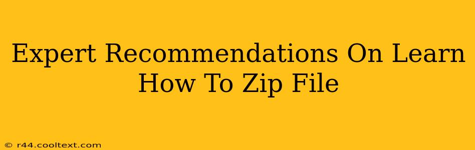 Expert Recommendations On Learn How To Zip File