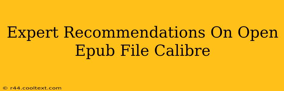 Expert Recommendations On Open Epub File Calibre