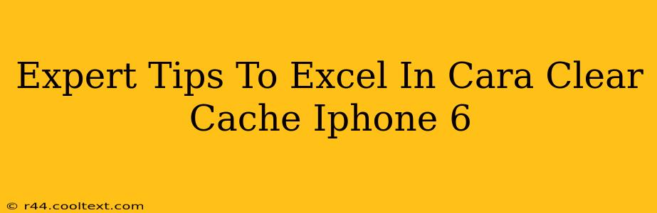 Expert Tips To Excel In Cara Clear Cache Iphone 6