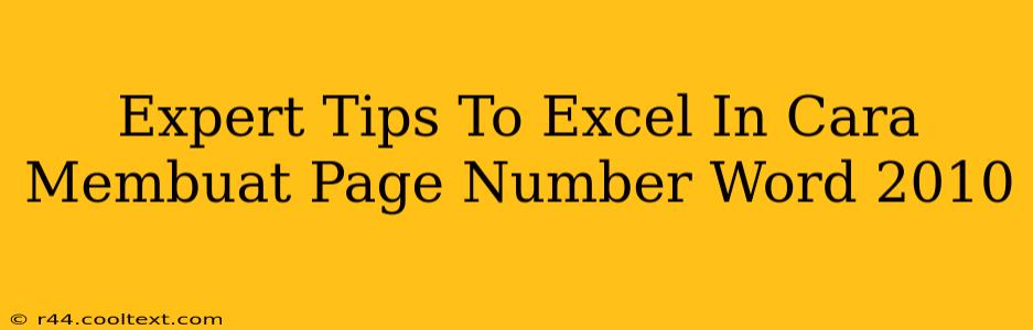 Expert Tips To Excel In Cara Membuat Page Number Word 2010