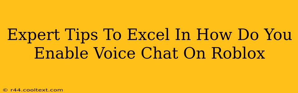 Expert Tips To Excel In How Do You Enable Voice Chat On Roblox